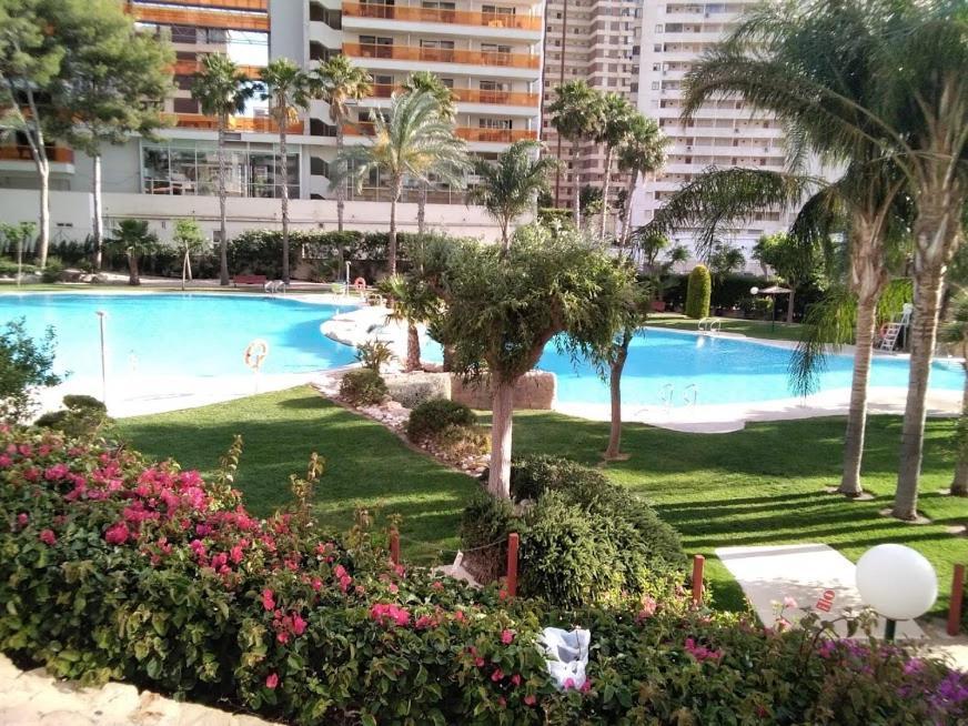 Skyline Gemelos 22 Trg Benidorm
